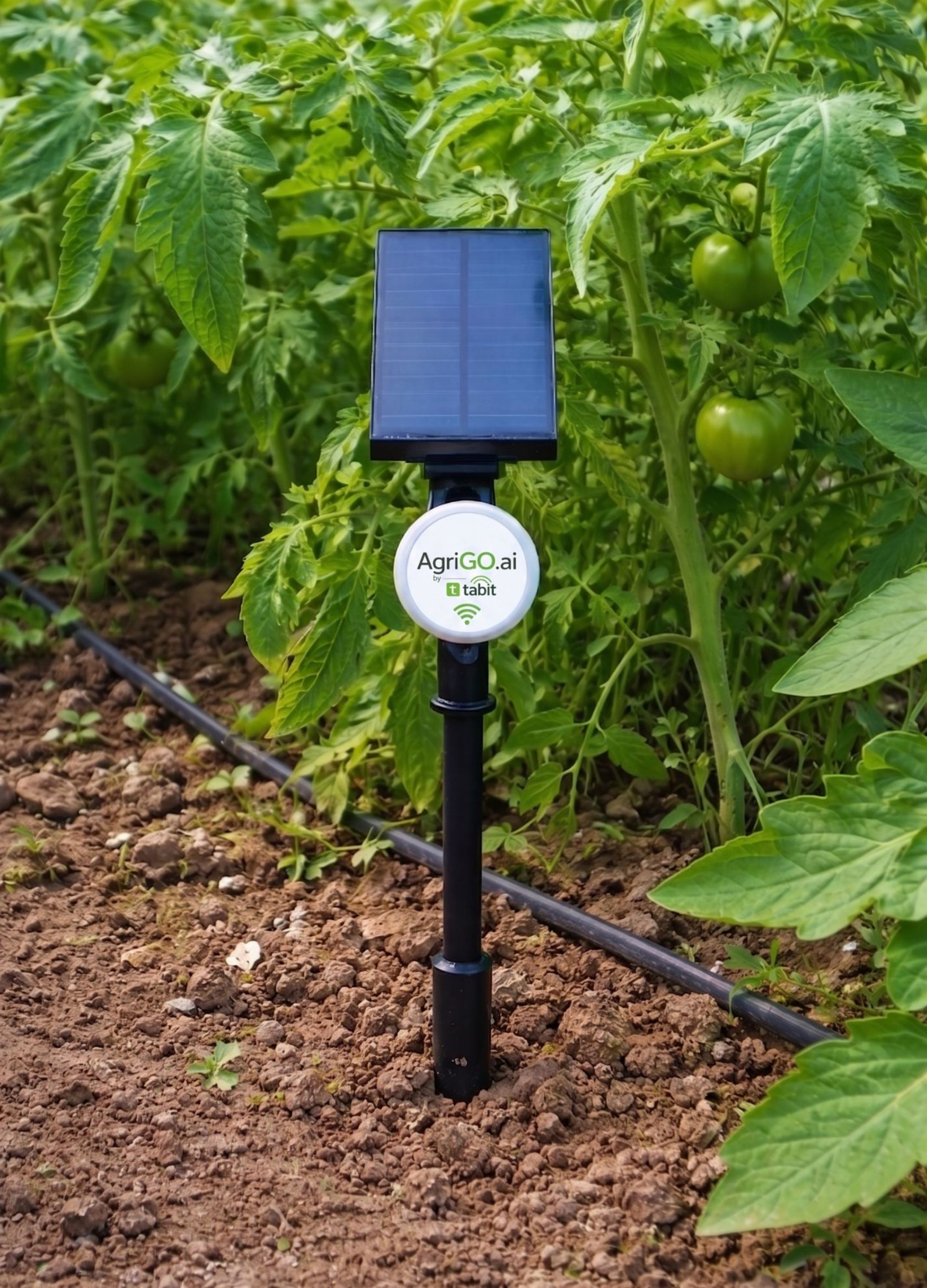 GPRS EcoSense Akıllı Tarım Sensörü | Ortam & Toprak Nem | Sıcaklık | | Güneş Enerjili | Uzaktan Takip resmi